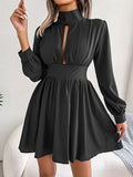 elveswallet  Sexy Cut Out Dress, Long Sleeve Turtle Neck Dress For Spring & Fall, Women's Clothing