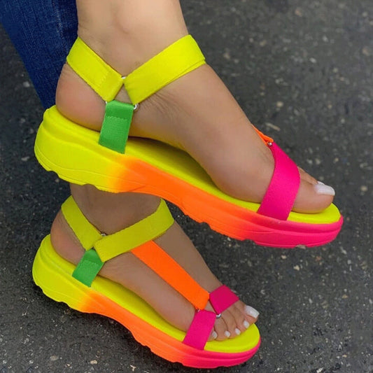 elveswallet Multi Colors Flat Sandals