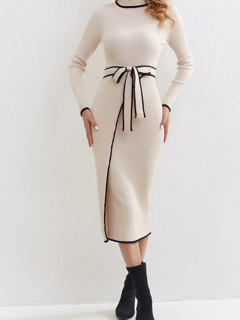 elveswallet  Contrast Trim High Neck Dress, Elegant Long Sleeve Bodycon Midi Dress, Women's Clothing