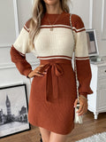 elveswallet  Color Block Sweater Dress, Casual Long Sleeve Simple Dress, Women's Clothing