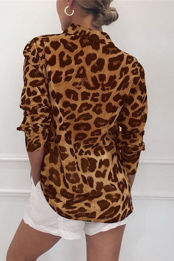 elveswallet Leopard Print V-neck Long Sleeve Chiffon Jacket